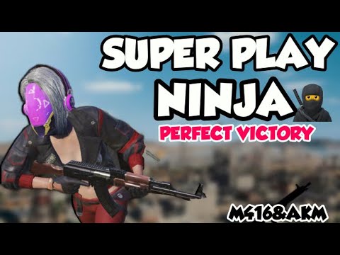 【PUBG】 EXTREME PLAY THIS GUN CHEATS DEATH!  M416&AKM  - PUBG [COMPILATION]