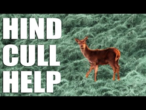 Hind Cull Help Hind Cull Help