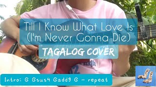 Till I Know What Love Is (I&#39;m Never Gonna Die) - Aimyon | Tagalog Cover