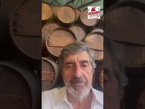 Video of Vasco Penha Garcia Bacalhôa