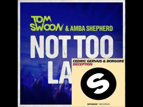 Tom Swoon & Amba Shepherd vs Cedric Gervais & Borgore - Not Too Late For Deception (Marino Mashup)