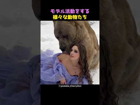 ウォームダウンのために苦しむ動物たち