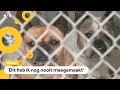 Dierenasiels in Australië zitten bomvol