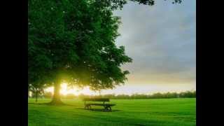 Jon Hopkins - The Wider Sun.Insides