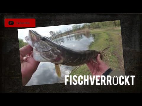 Beim Angeln reich werden!!!