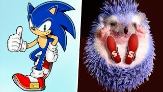 Sonic the Hedgehog in Real Life! Main Characters