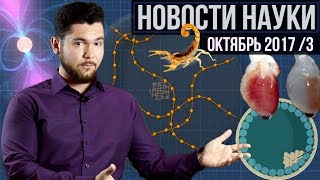 Новости науки. Октябрь №3