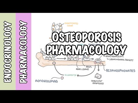 Osteoporosis pharmacology, prevention and treatment (bisphosphonates, denosumab, SERMs)