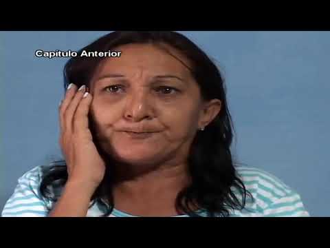 NOVELA - FOI SEM QUERER (COMPLETA)