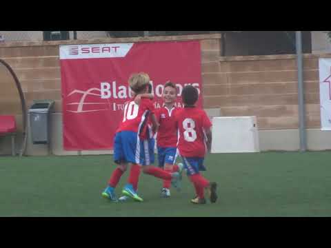 PLA DE NA TESA 1  UD COLLERENSE  7