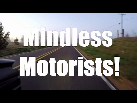 Mindless Motorists #14