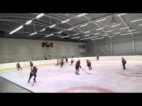 DHK-Táti Tigrisek U12 C