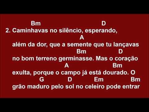 Por amor - Os Servos