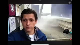 Cover art for FOTOSINTESIS