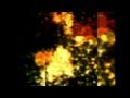 Ivan Dorn - Stycamen (VJ mix by LeoMicron) 