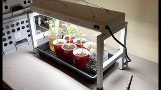 Grow Light with Legs