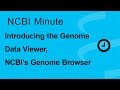 NCBI Minute: Introducing the Genome Data Viewer, NCBI's Genome Browser