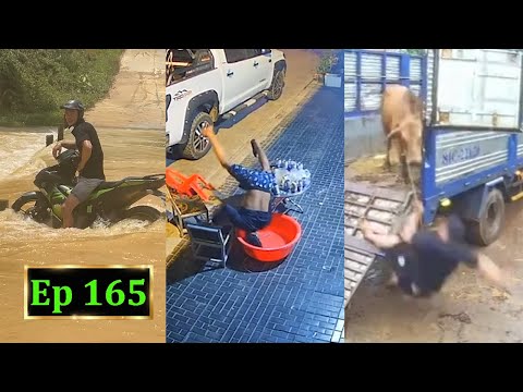 Hài Tin Việt 2025 Mới Nhất || Những Tình Huống Ngu Nhất Hành Tinh Cười Vỡ Bụng Phần 165.