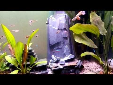 First attempt a Sandfall