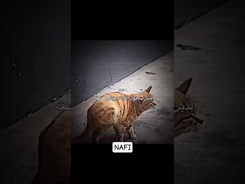 الذين يحبون... #اكسبلور #اقنباسات #اقتباسات #عبارات #trending #nafi #quotes #لايك