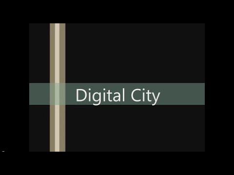 Black Tiger Digital City