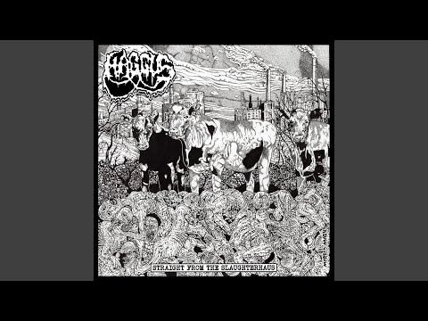 Haggus Plastic Mincer song