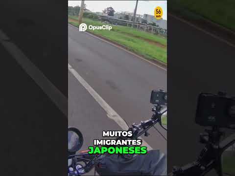 ✅ Rodovia federal dentro da cidade | Passando por Rolândia – PR