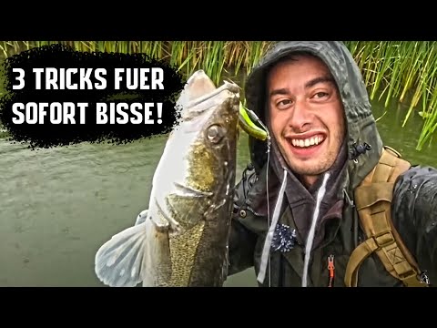 SOFORT mehr Bisse | 3 Tricks, die ich mache wenn ich nichts fange