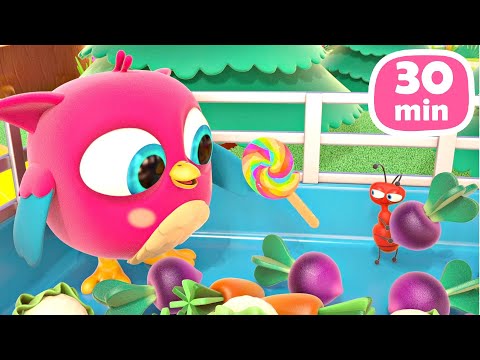 🦉🎉 HopHop die Eule – Neue Folgen für Kleinkinder! 30 Minuten voller Spaß! 🌟