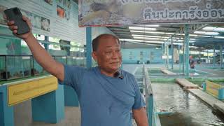 SICHANG(E) ShortFilm - CCCL competition 2025