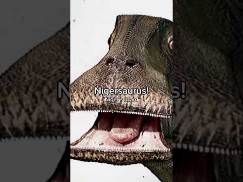 500 Teeth Dinosaur