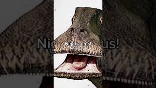 The dinosaur with 500 teeth… #dinosaur #nigersaurus #prehistoric