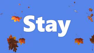 The Vamps - Stay (Lyrics)