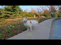 Adorable Hungry Cats That Meow Loudly For Food And Attention