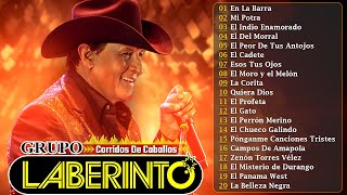 Download lagu Grupo Laberinto MIX 2025 🐎 Corridos Legendarios del Rancho | Sus Mejores Éxitos Norteños Inmortales mp3 Download lagu Grupo Laberinto MIX 2025 🐎 Corridos Legendarios del Rancho | Sus Mejores Éxitos Norteños Inmortales mp3