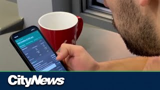 Legal or Illegal: Is your sports betting site licensed in Alberta?