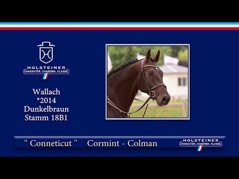 Holsteiner Elite-Reitpferdeauktion 2019 | Nr. 125 - Conneticut v. Cormint-Colman