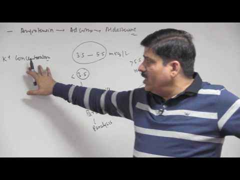Adrenal Cortex: Aldosterone - Chemical Coordination & Integration - Dr. NK Sharma NEET