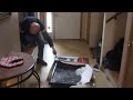 DAD FS UP STEVES TV