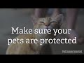 Everyday Is Flea And Tick Season But Our Pet Experts Are Here To Help
