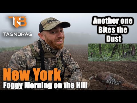 Turkey Hunting New York - Bird Down on a Foggy Morning