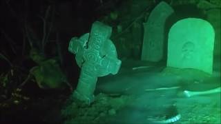 Low lying graveyard fog