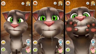 MY TOM ZINDGI  pet care