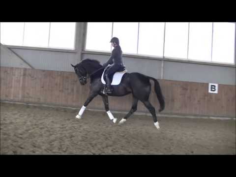 Bon Bravour Weltmeyer komplett