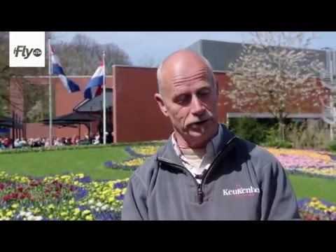KLM iFly - Working among millions of flowers in Keukenhof