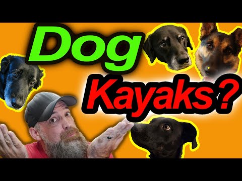 Best Kayaks for dogs | My Top 5 under $1300