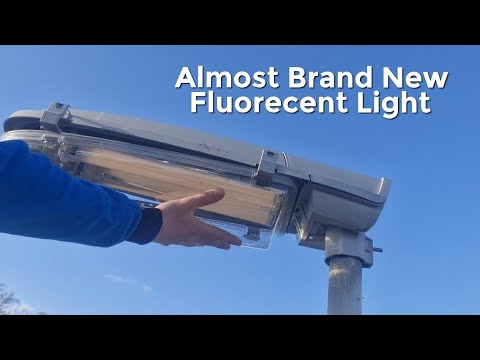 Philips Resedium FGS224 Lamp PL-L 36W Replacement