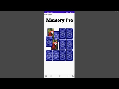 Memory Pro