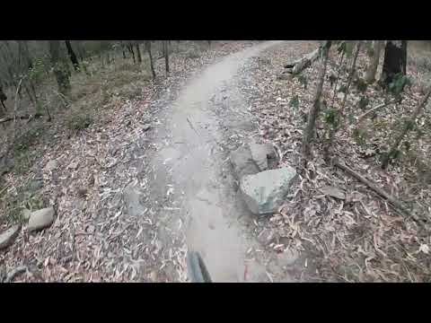 Nerang MTB Park - Pete’s (lower decent)