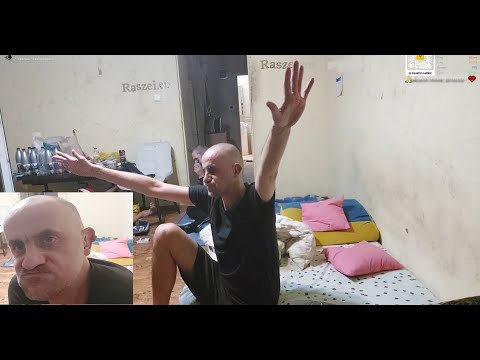 Czaruś save the pigeons on the rashei #danielmagical #mariuszkws